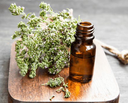 Thyme-Oil-Natural_DIY_Yard_Spray.png