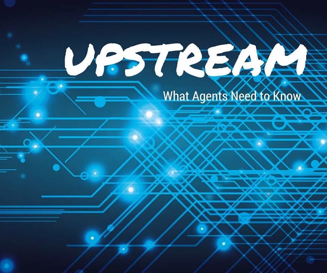 UPSTREAM-1.jpg
