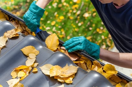 fall leaves in gutter.jpg