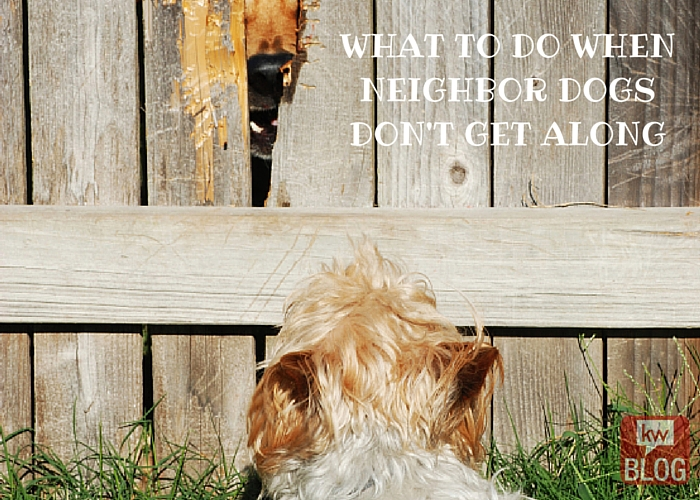 Building_Good_Neighbor_Dogs.png